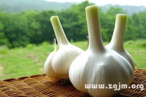 Dream of garlic