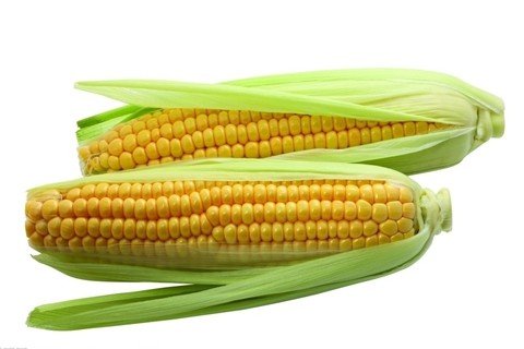 Dream of corn or corn