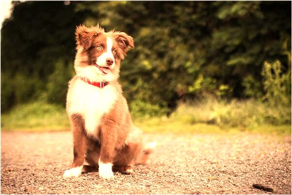 夢到拿刀打架什麼寓意_周公解夢官網