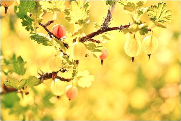 夢到不認識的女人抱個小孩是咋回事_周公解夢官網