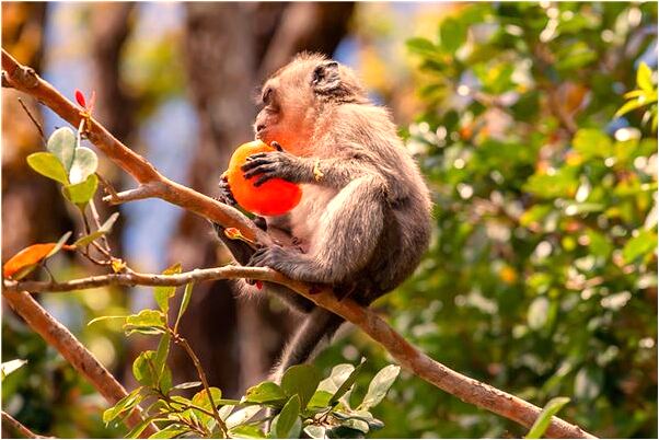 夢到了用渠水洗手洗腳怎么說_周公解夢官網