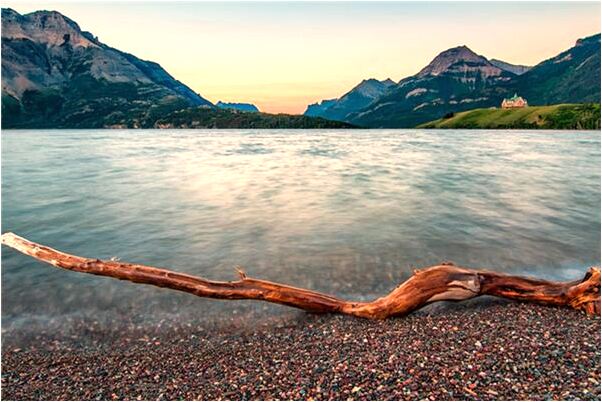 夢見兒子倒牙預示什麼_周公解夢官網