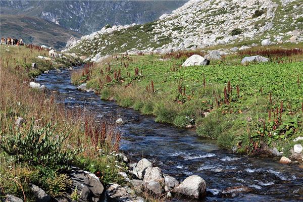 夢到了河流乾枯是吉兆嗎?_周公解夢