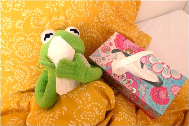 夢到了鬍子眉毛鼻子毛變長會怎么樣_周公解夢官網