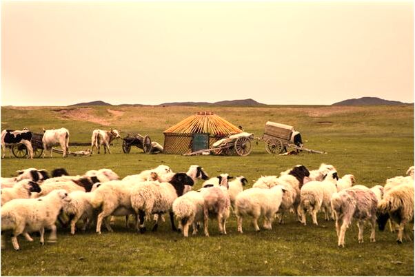 夢到了蛇產卵是什麼預兆_周公解夢官網