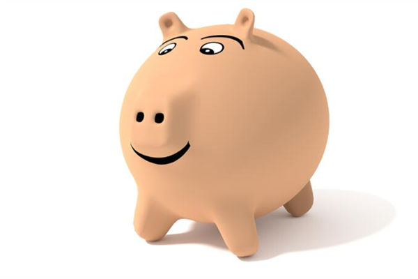 95年屬豬的2022年運勢如何_十二生肖