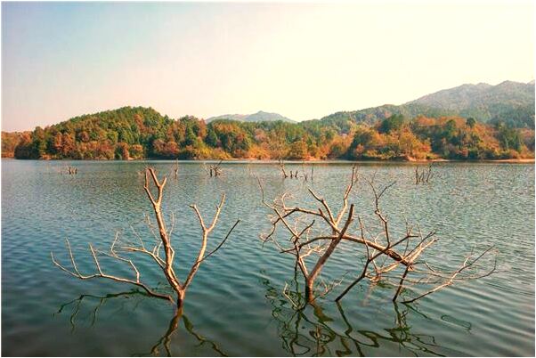 夢見給親人燒紙有什麼寓意嗎_周公解夢官網