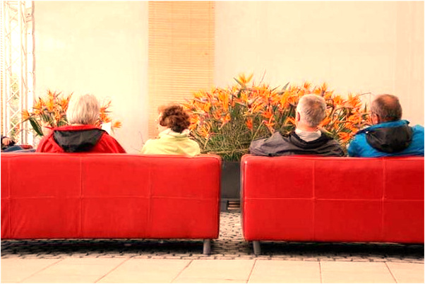 夢到了不熟不好的西瓜是啥意思_周公解夢官網