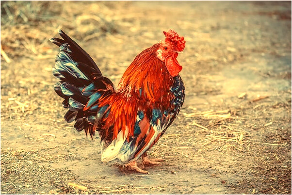 夢到未出生的孩子叫爸爸是什麼意思？_周公解夢官網