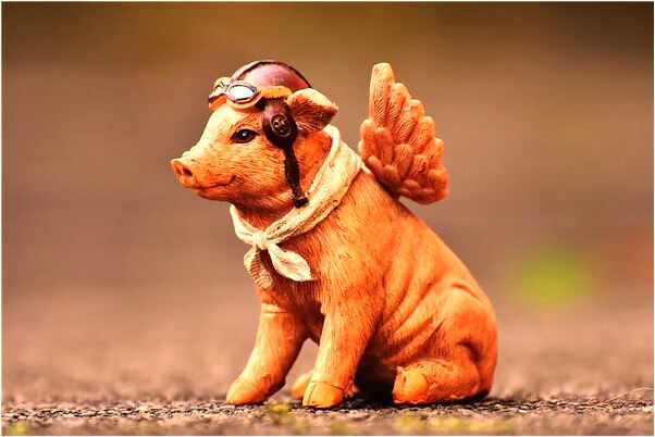 夢見買小鴨子是好是壞_周公解夢官網