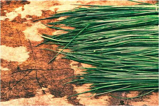 夢見與死去的朋友一起走是好是壞_周公解夢官網