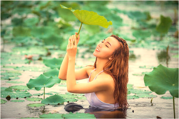 夢到了滿山都是花有什麼意思_周公解夢官網