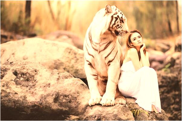 夢到湖邊釣魚預示著什麼_周公解夢官網