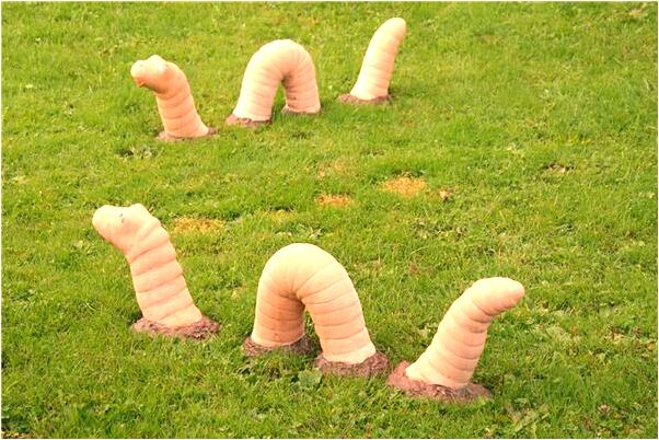 夢見要坐飛機丈夫來電話什麼預兆_周公解夢官網