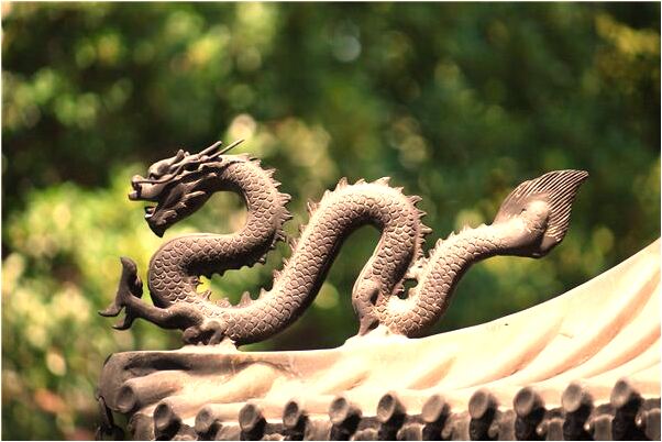 夢到金色狐狸好不好_周公解夢官網