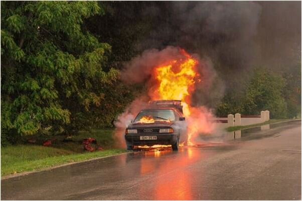 夢到一群狐狸被打死是啥預兆_周公解夢官網