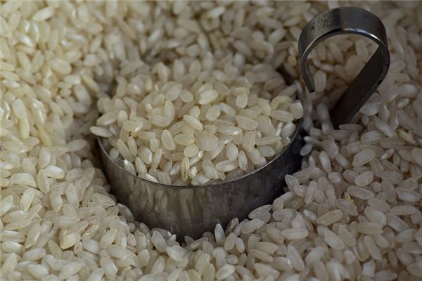 夢到了海米怎麼說_周公解夢