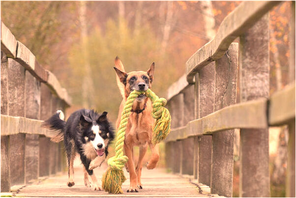 夢到了在水裡大便怎么回事_周公解夢官網