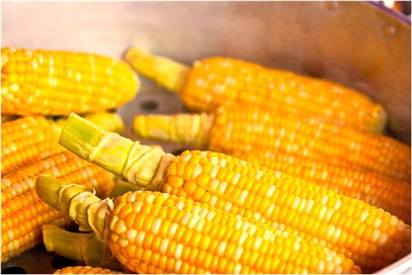 夢見牛和雞有什麼含義_周公解夢官網