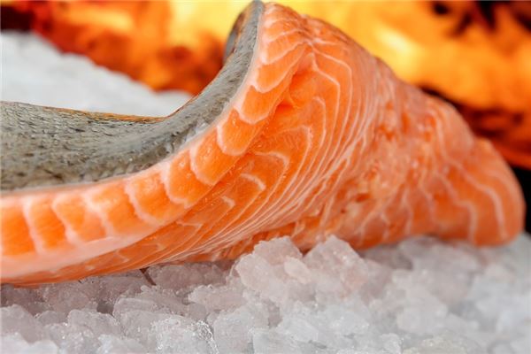 夢見魚肉_周公解夢