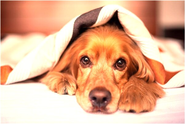 夢到了懷抱孩童是啥意思_周公解夢官網