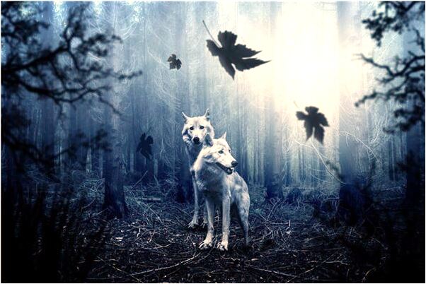 夢到跟熟悉的人接吻有什麼寓意嗎?_周公解夢官網