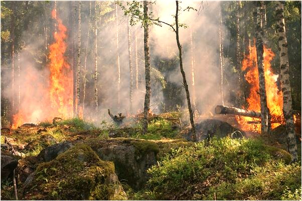 夢到和上司曖昧是什麼啟示_周公解夢官網