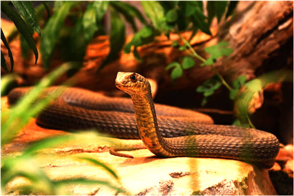 夢到了公眾場合頂女人屁股預示了什麼_周公解夢官網