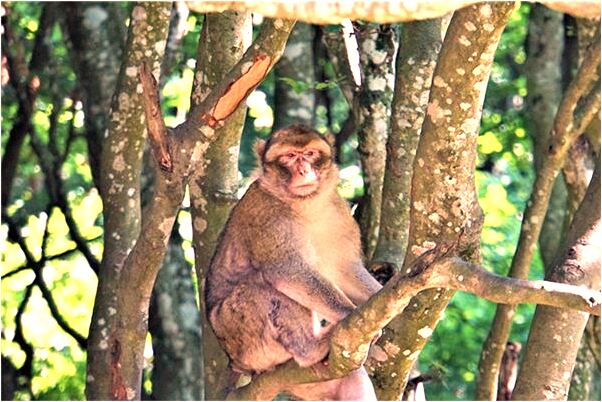 夢見和老公加朋友一起看意味什麼_周公解夢官網