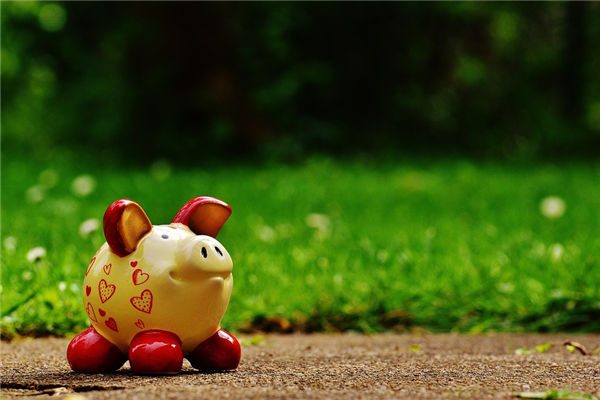 1971年6月屬豬的命運性格_十二生肖