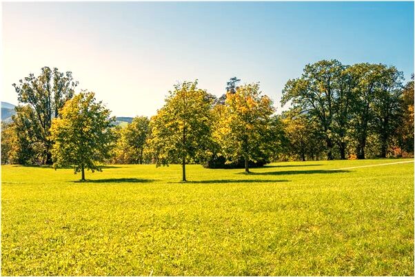 夢見有人纏著是咋回事_周公解夢官網