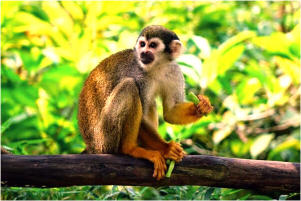 夢到了找水杯有什麼徵兆_周公解夢官網