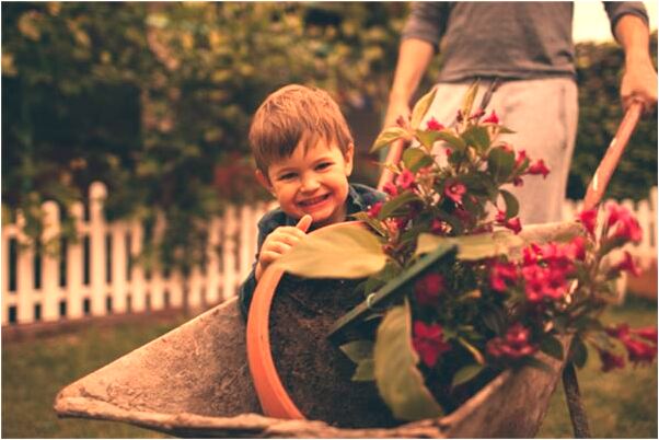 夢到了烏龜殼壞了好不好_周公解夢官網