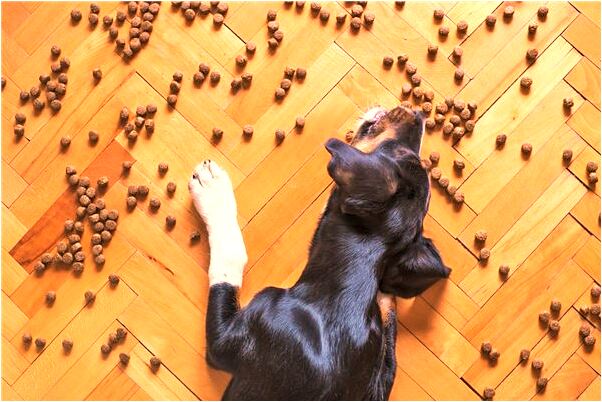 夢到死人屍體內臟被掏空有何寓意_周公解夢官網