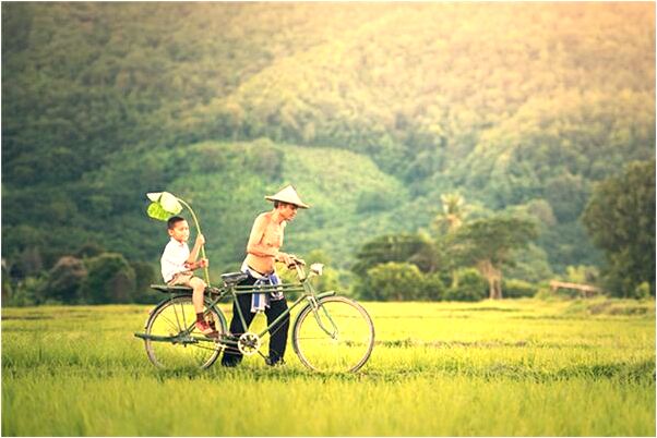 夢見大黃咬我一口有什麼意思_周公解夢官網