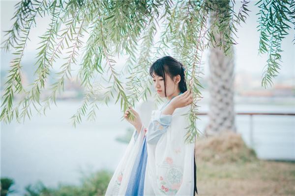 屬龍人運勢_十二生肖