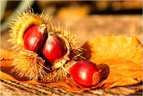 夢到死小孩在水裡什麼預兆_周公解夢官網