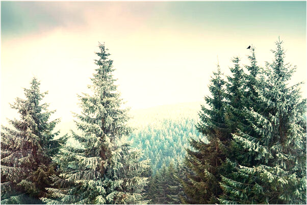 夢見女人給自己理髮什麼寓意_周公解夢官網