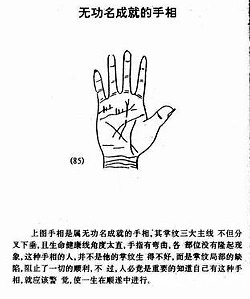 No established palm diagram