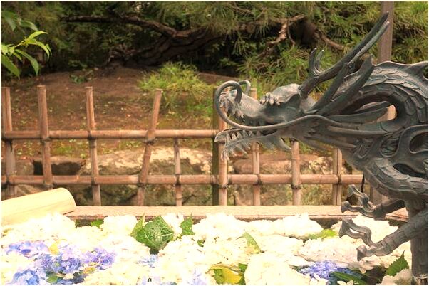 夢到了面盆里龍出頭有什麼寓意嗎？_周公解夢官網