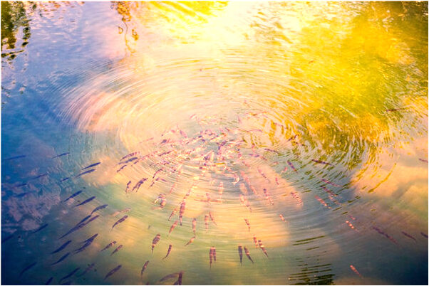 夢到前男友曖昧的女人不理他代表著什麼_周公解夢官網