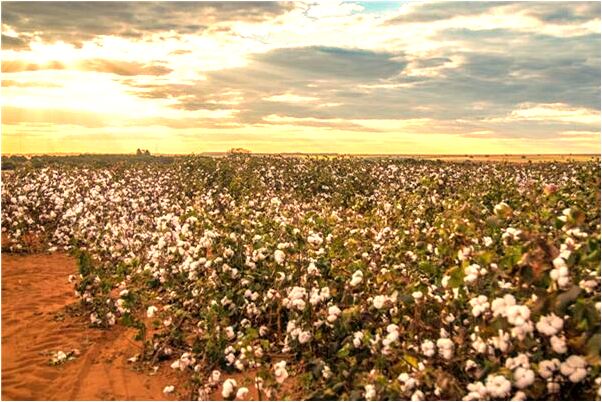 夢見殘疾異性是什麼啟示_周公解夢官網