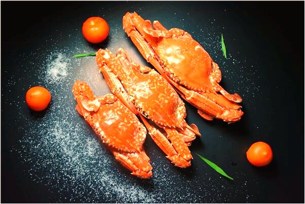 夢到蛇老房子家人是怎么回事_周公解夢官網