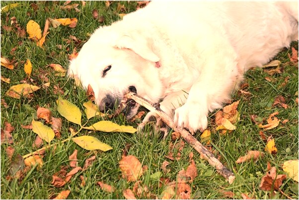 夢見自己走在大路上是怎么回事_周公解夢官網