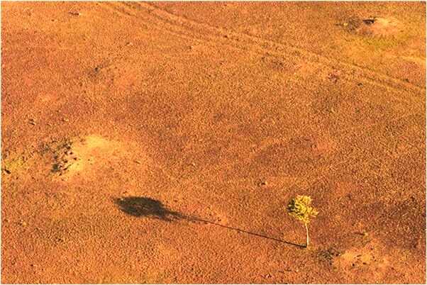 夢見成為出家人是好是壞_周公解夢官網