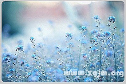 喜歡玩地下情的星座男_十二星座