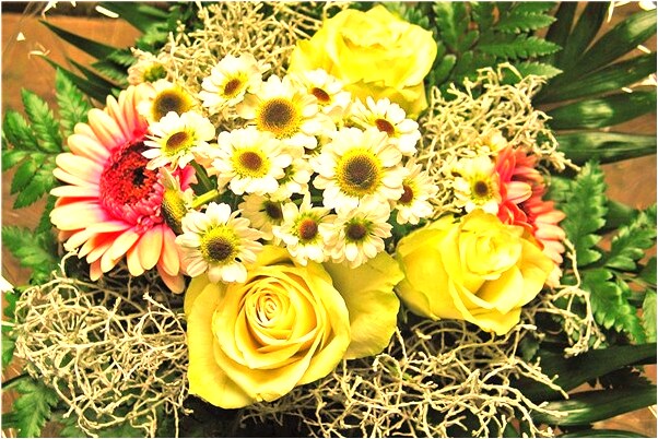 夢到了男人蛇在床上下蛋是咋回事_周公解夢官網