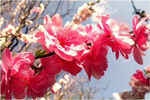 夢到了被抱住哭了會是什麼預兆_周公解夢官網