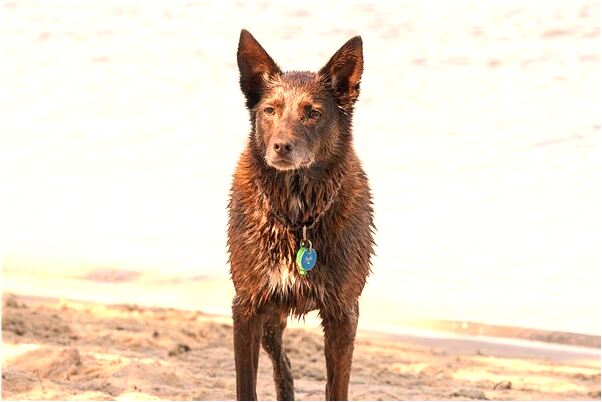 夢到了媽媽拿刀是什麼意思_周公解夢官網