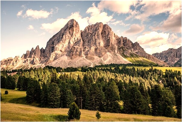 夢見好大的西瓜會怎么樣_周公解夢官網